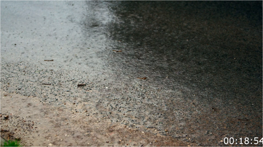 [Image: gf1jf4rv6z1e.png]