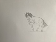 3BD508C4-297B-44F9-9D0E-DCC89B96E014