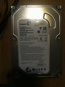 310625008_618866996375086_1419385381228196795_n