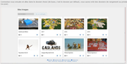 T-C-2021-02-20-Post-Images-FAQ-02-Uploader T-C-2021-02-20-Post-Images-FAQ-02-Uploader
