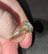 PXL 20260104 033322403 PORTRAIT