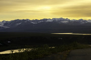 Denali hwy  (1 of 1)-6 - Copy
