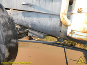 DSCN5891