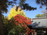 photo 19 2025 12 14 22 29 25