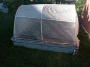 [Image: garden8.jpg]