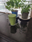 smoothy.jpg