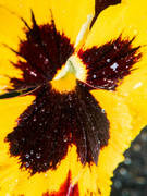 IMG-20190411-191922