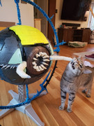 Haslab-Unicron-Test-Shot-5