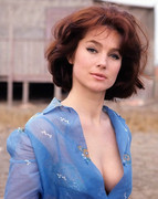 shirley-ann-field-b17