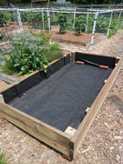 2023-06-16 New Bed [2]