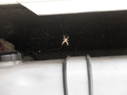 ADP System - Zelezniza 2009 (13)