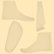 lf-sock