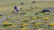 IMG-20250614-094302
