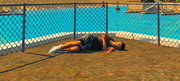 Emote Dormir