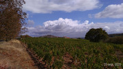 P-20200925-124840-p.jpg