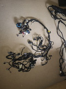 2020 Coyote Dash Loom