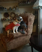 61953312-422C-44E6-835D-F4984E4E7FEE