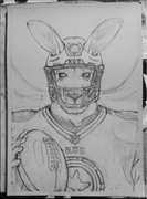 Roobet Traditional 2