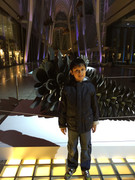 6d0b4f25889a990d5fd390d7668c49e5