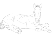 5CC98810-11AE-495D-A0F4-036AF549A1D7