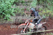 IMG-6489