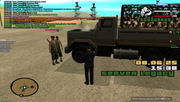 Grand-Theft-Auto-San-Andreas-Screenshot-2025-06-08-17-38-34-22