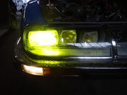 DSC05042.jpg