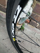 photo_2022-06-18_13-27-12