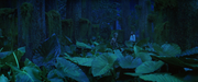 vlcsnap-2025-02-22-15h06m49s889.png