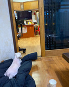 124630111_286508662637679_1822067262736731670_n