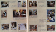 IMG-0008