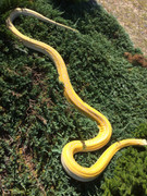 B7EF4810-F8A4-402D-B417-66A6EB388176