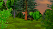 Desktop-08-06-2026-20-09-19-736
