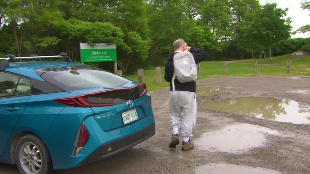 [Image: qec5q670cmjs.jpg]