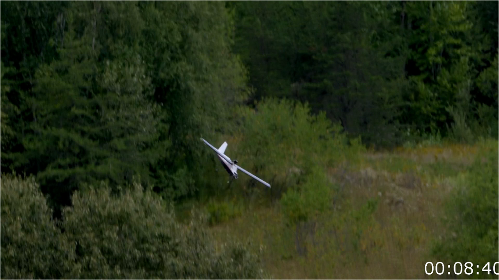 [Image: j80ja4typc9l.png]