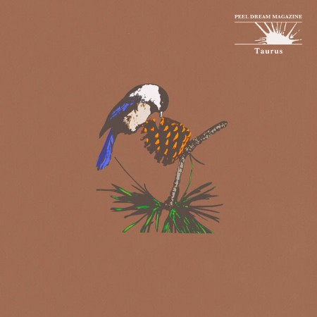 Peel Dream Magazine - Taurus (2025)