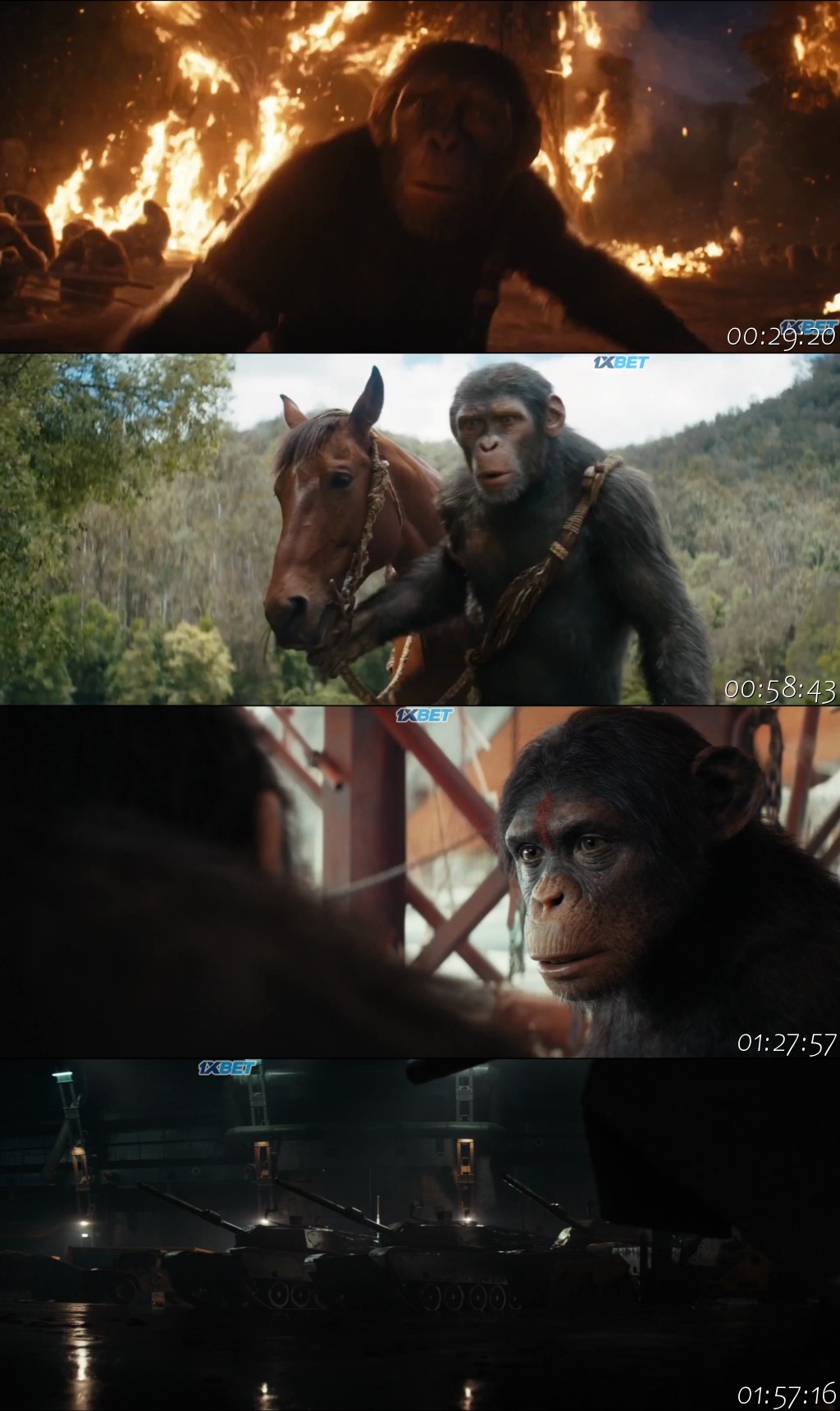 Kingdom of the Planet of the Apes