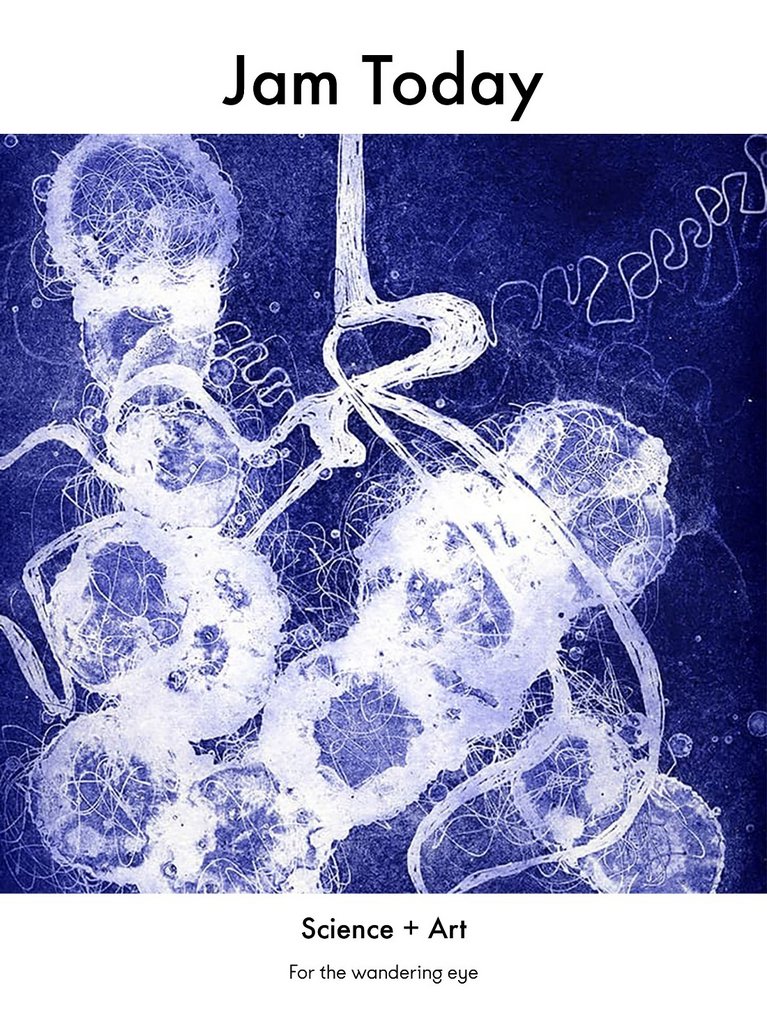 [Image: ittb3a4un87s.jpg]