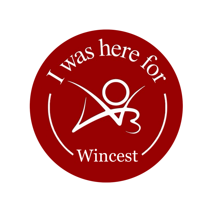 Badge rond vert avec les frères Winchester et le texte They don't call it incest if it's Wincest