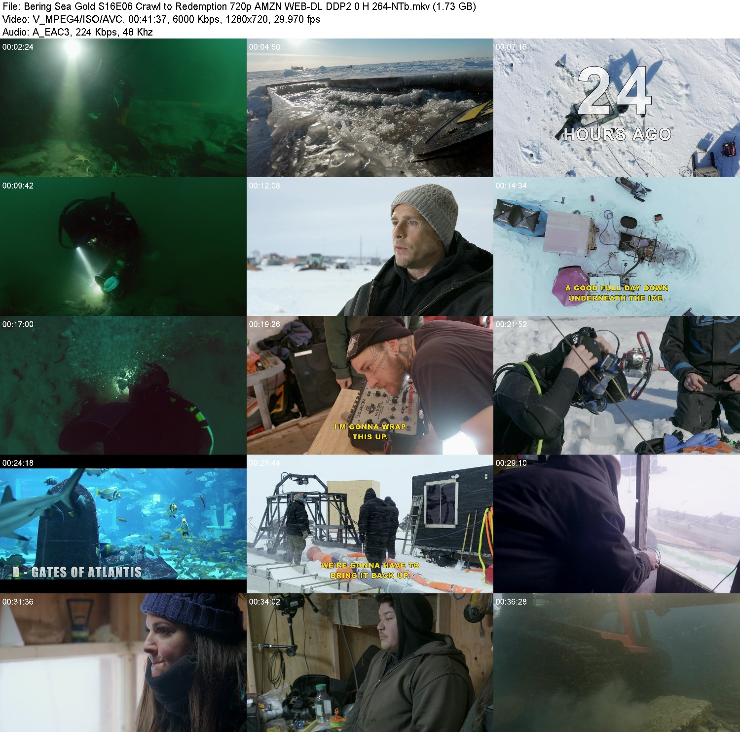 [Image: fub3t4bn3y8b.jpg]