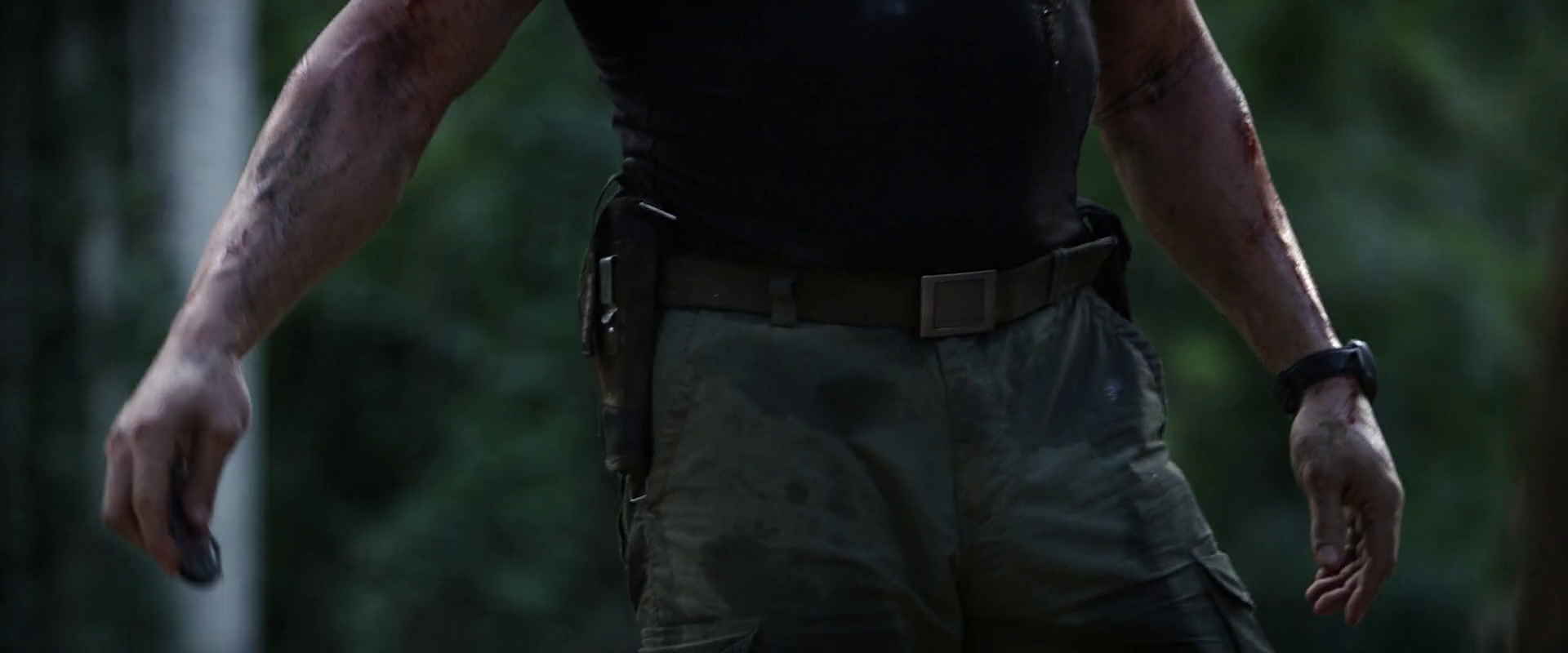 p808wzzlp2.png