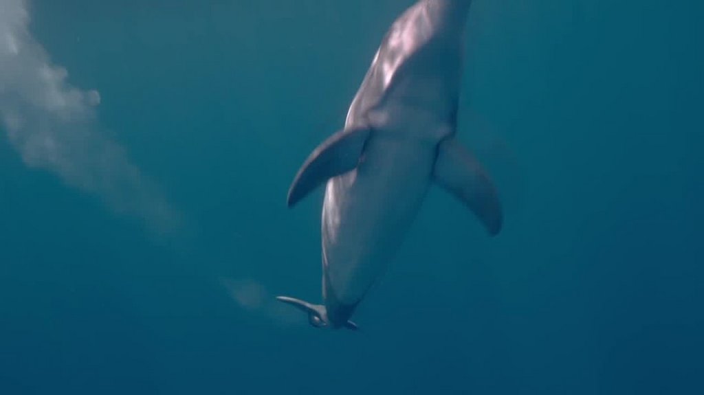 [Image: 4thl277tsrnh.jpg]