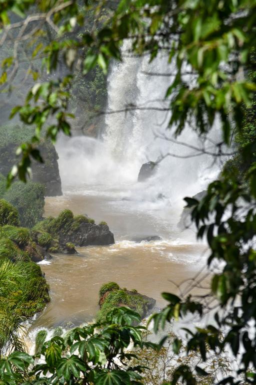 В джазе только девушки или аргентинско-бразильский калейдоскоп В джазе только девушки или аргентинско-бразильский калейдоскоп