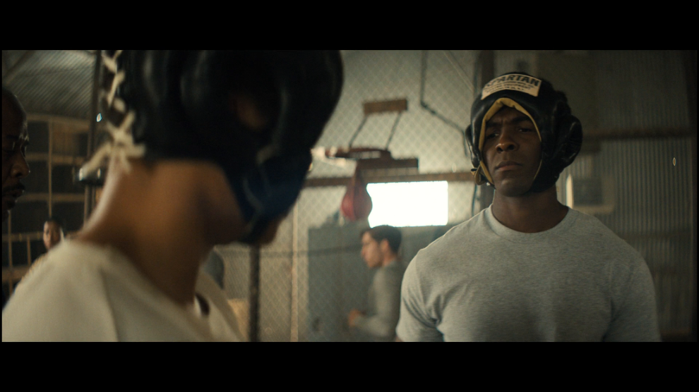 [Image: 6el38ogtfh8q.png]