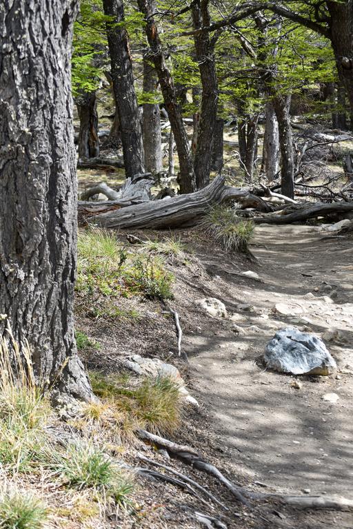 В джазе только девушки или аргентинско-бразильский калейдоскоп В джазе только девушки или аргентинско-бразильский калейдоскоп