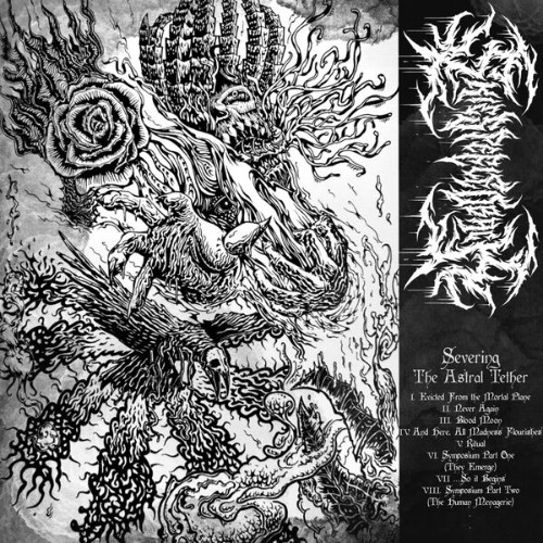 Skies Peeled Back - Severing The Astral Tether (2026)