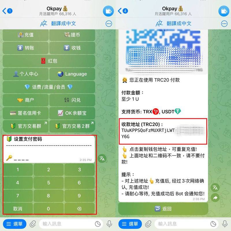 Step 3 複製充值地址