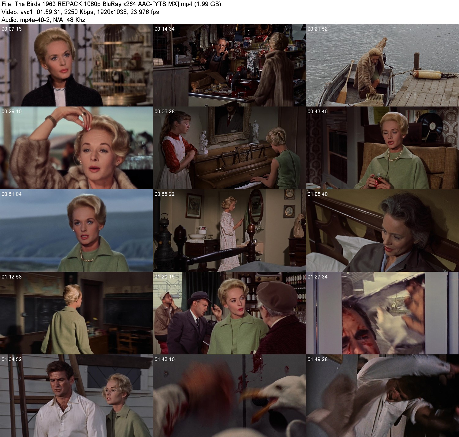 [Image: 6v9vho9zop8s.jpg]