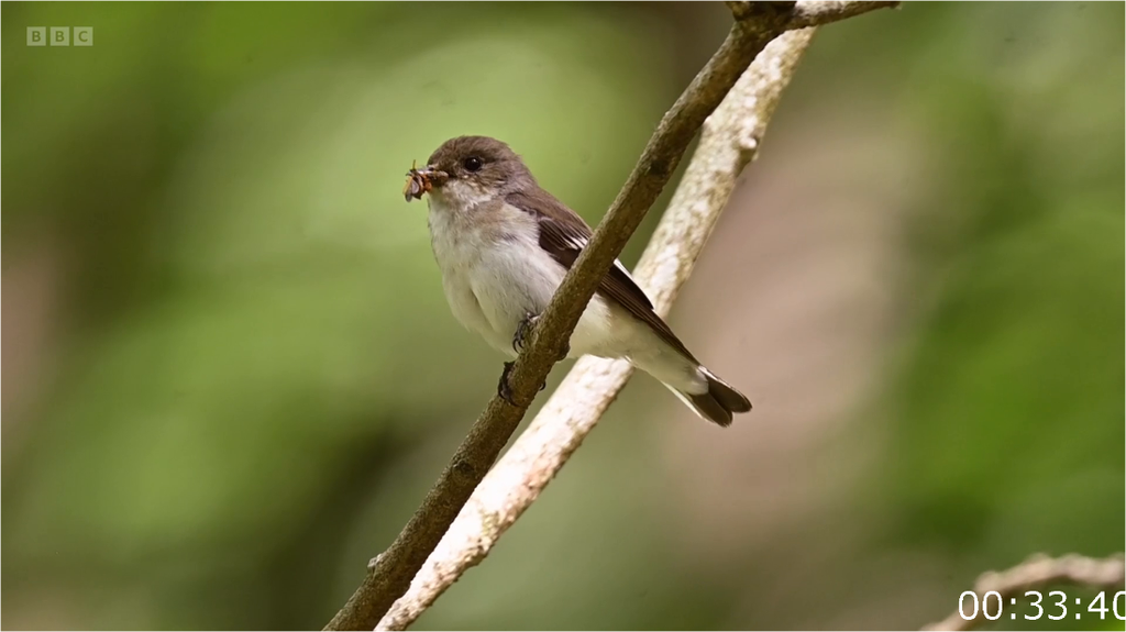 [Image: ji1xa63xj3cw.png]