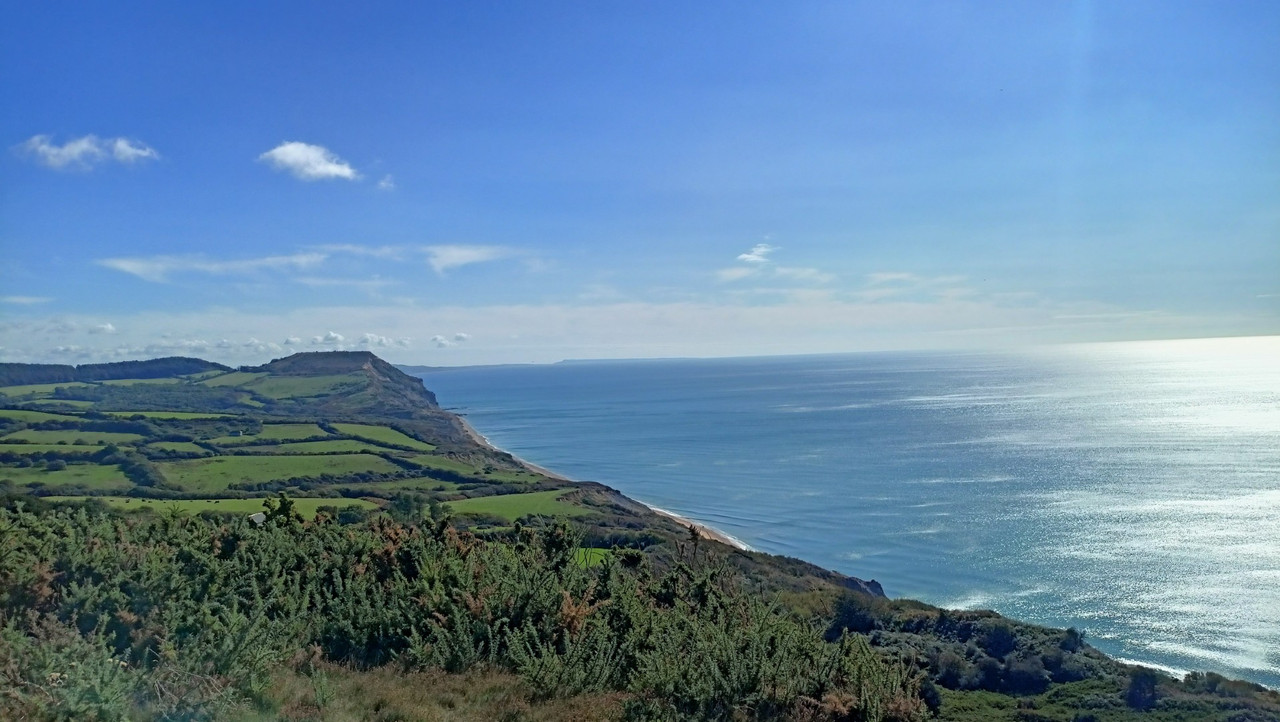 IMG20250924114848 (Large)